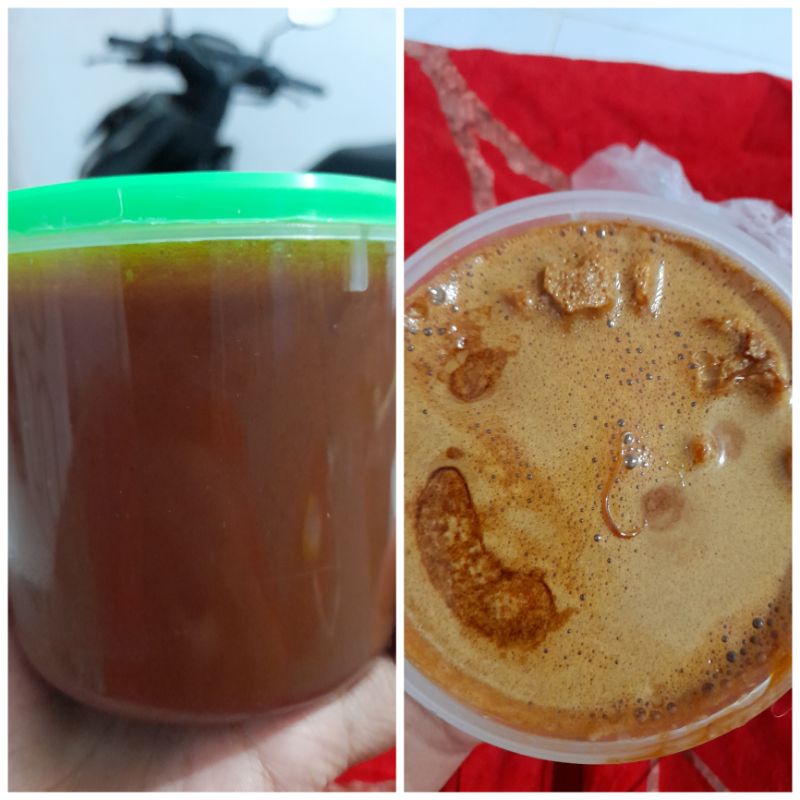 

Petis cakalan