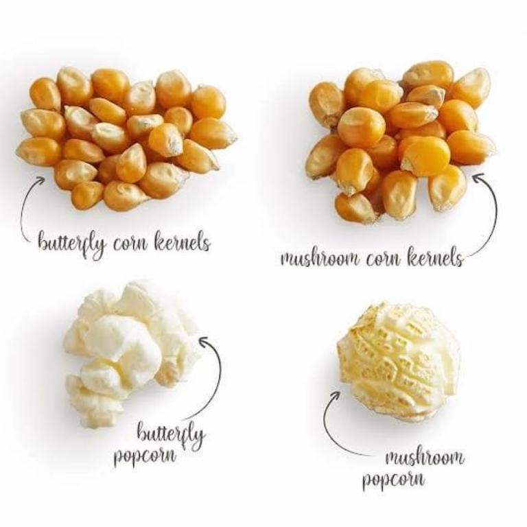 

Muraaaahh.. Jagung popcorn jumbo mushroom 1 kg 06