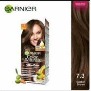 Garnier hair color golden brown
