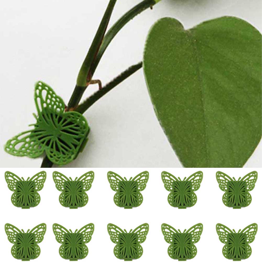 Butterfly Invisible Plant Climbing Perlengkapan Dinding Rotan Vine Bracket Tetap Gesper Daun Klip Traksi Holder Taman Tanaman Prop