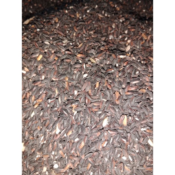 KETAN HITAM