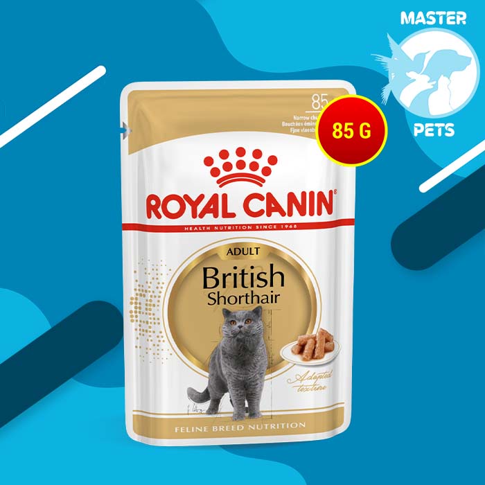 Royal Canin Adult British Shorthair 85 Gram Makanan Kucing  Wet Food 85gr