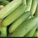 Benih bibit mentimun timun lalap putih 100 biji