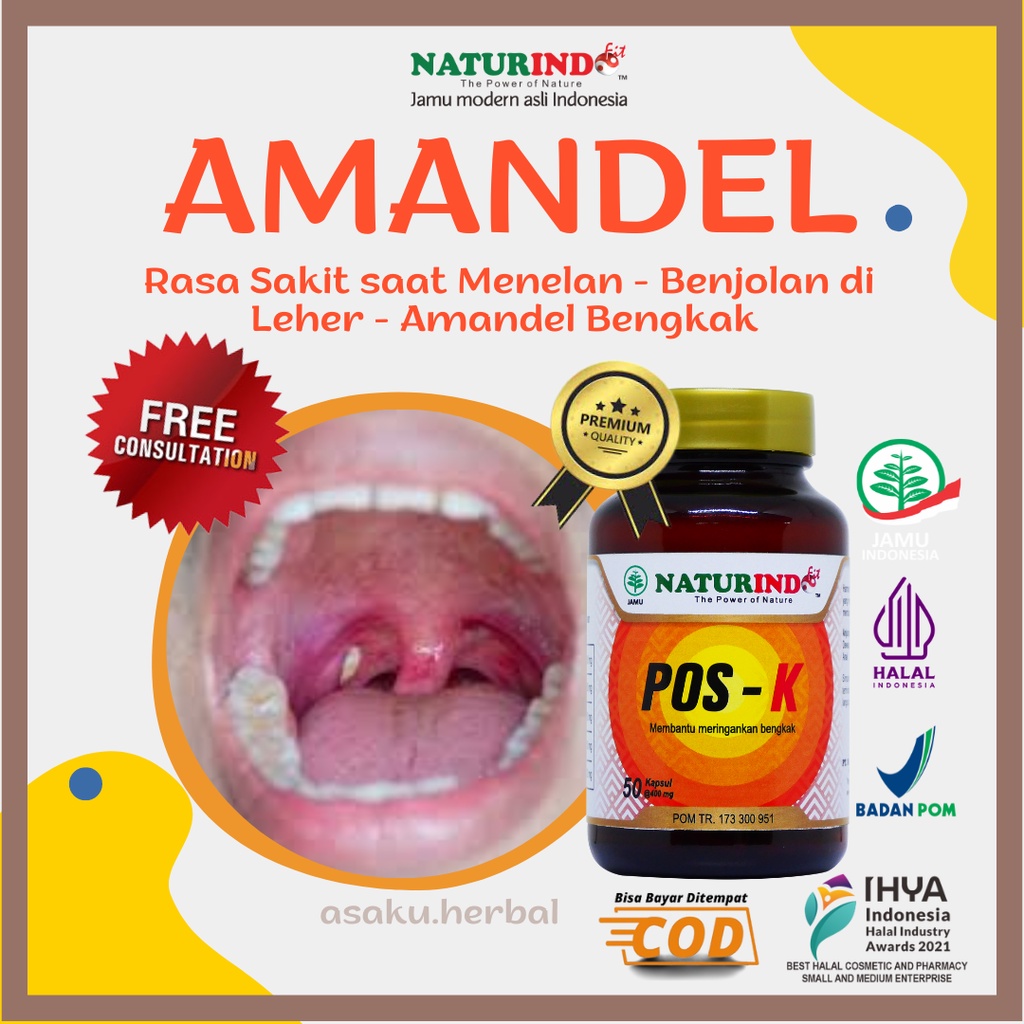 Obat Amandel Radang Amandel Membesar Amandel Bengkak Sulit Menelan Herbal Obat Amandel Tanpa Operasi