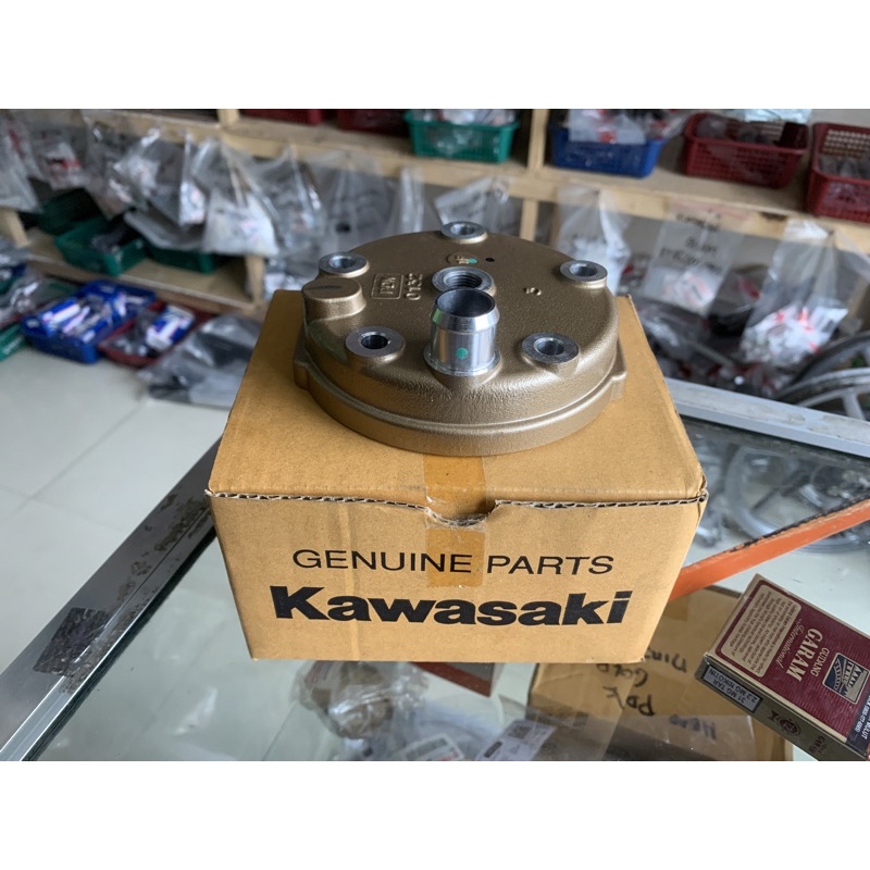 HEAD PDK GOLD NINJA ORIGINAL