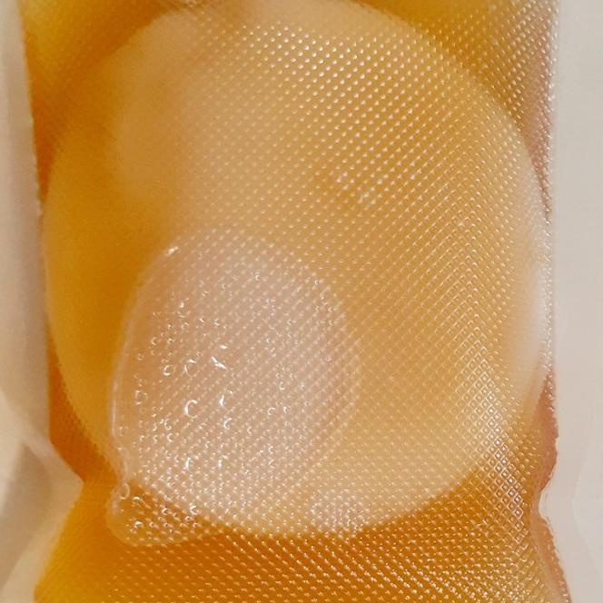

(J-R3R-㊛) Bibit Scoby Jamur Kombucha Tea premium
