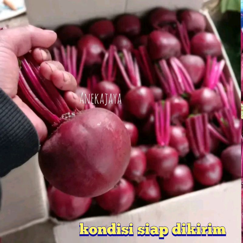 

Buah Bit Kualitas Terbaik /Obat Herbal Penambah Darah 1kg