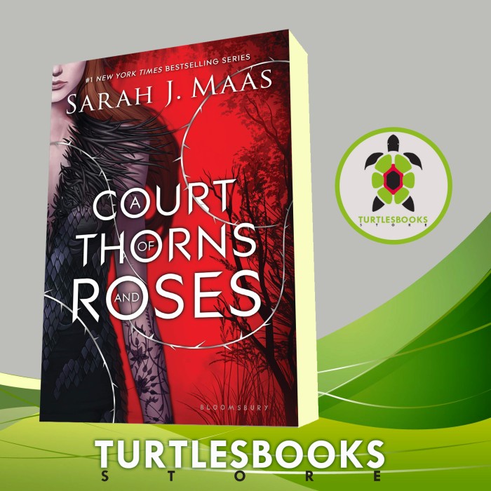A Court of Thorns and Roses Sarah J. Maas