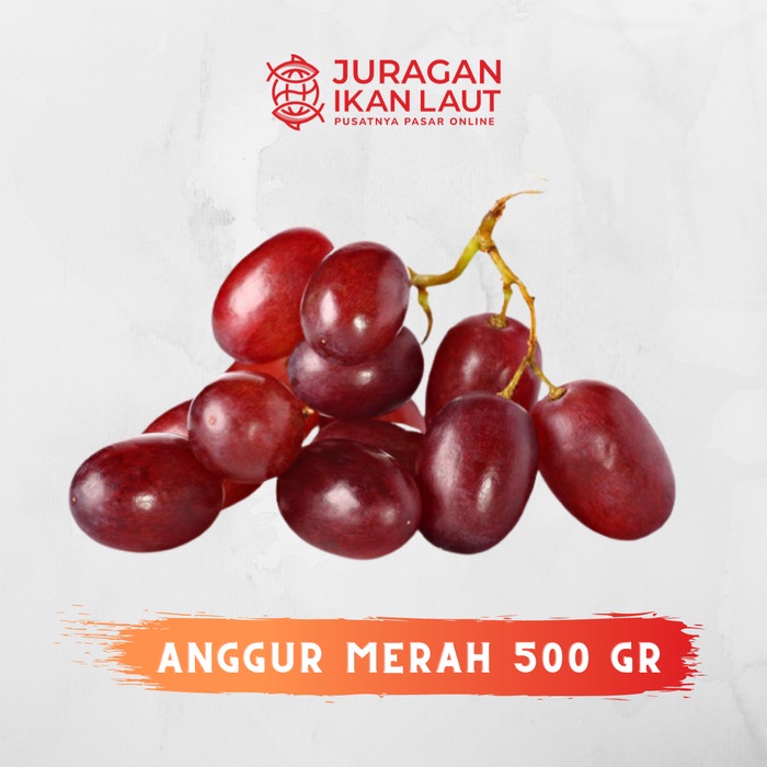 

Buah Anggur Merah Segar Berkualitas - 500 Gram