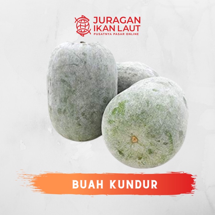 

Buah Kundur Segar Berkualitas - 1 Buah