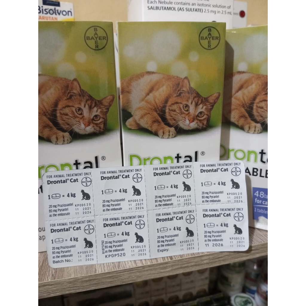 DRONTAL CAT KUCING 1 TABLET - Obat Cacing Kucing Ampuh