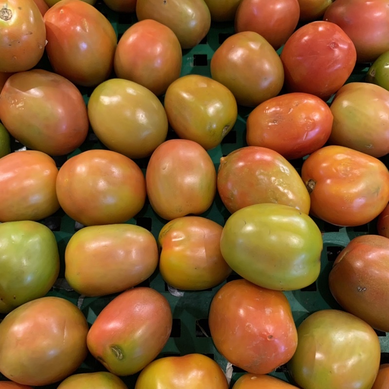 TOMAT Fresh 500 gr  (KHUSUS SAMEDAY DAN INSTAN)