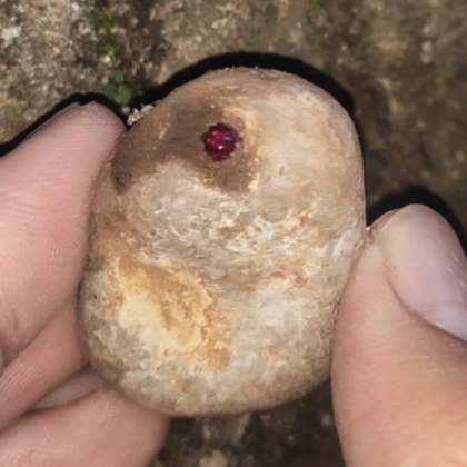 batu mustika tapa sir alam asli temuan sepuh antik pusaka pamor langka jadul kuno