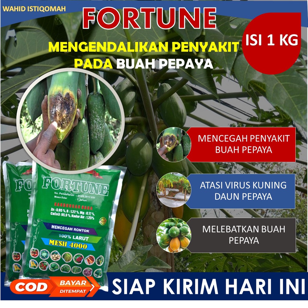 Jual 1 Kg Fortune Obat Busuk Daun Pepaya Terbagus Obat Pepaya Busuk Daun Paling Laris Obat 1904