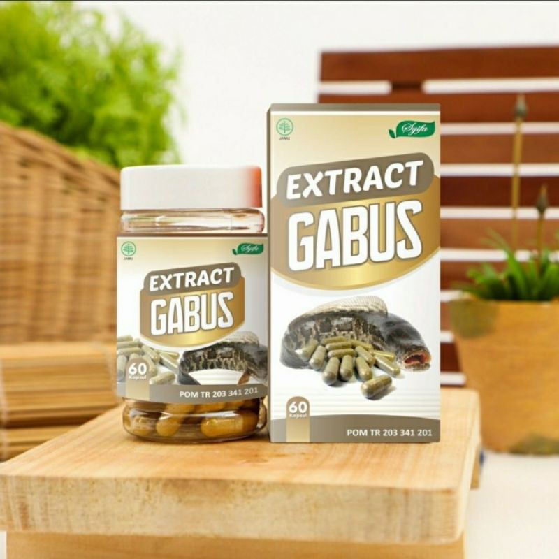 SYIFA ORIGINAL EKSTRAK IKAN GABUS 60 KAPSUL