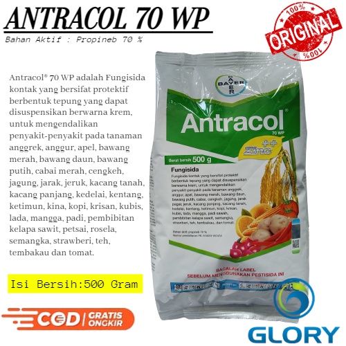 Fungisida Antracol 70 Wp 500 Gram Atau Obat Pembasmi Pengendali Penyakit Hama Jamur Pada Tanaman Bua