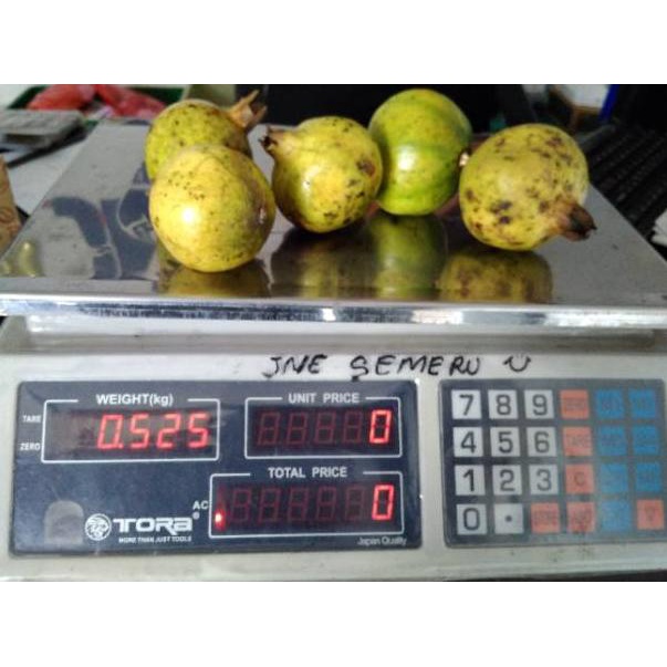 

⇑ Buah delima putih berat isi 500gram ㅬ