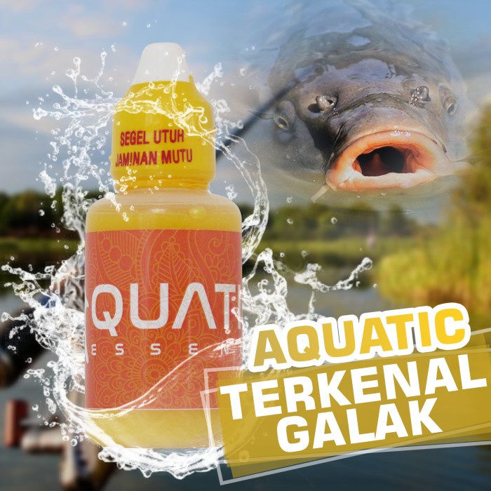 ESSEN IKAN MAS KILO GEBRUS AQUATIC ESSENCE / ESSEN IKAN MAS KILO GEBRUS BEST PRODUK