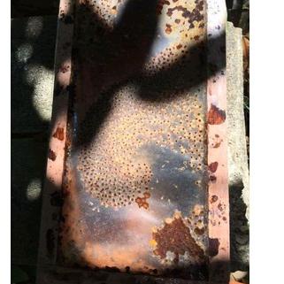 ((O-2-7 »> Koloni Klanceng Teuweul Trigona Kelulut Lebah Madu Bibit Lebah Kawanan Lebah Tidak Bersen