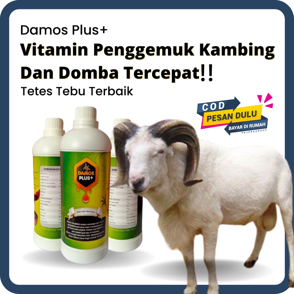 TERBAIK Obat Cacing Kambing, Domba, Sapi - Vitamin Kambing / Domba Cepat Gemuk Damos Plus Tetes Tebu