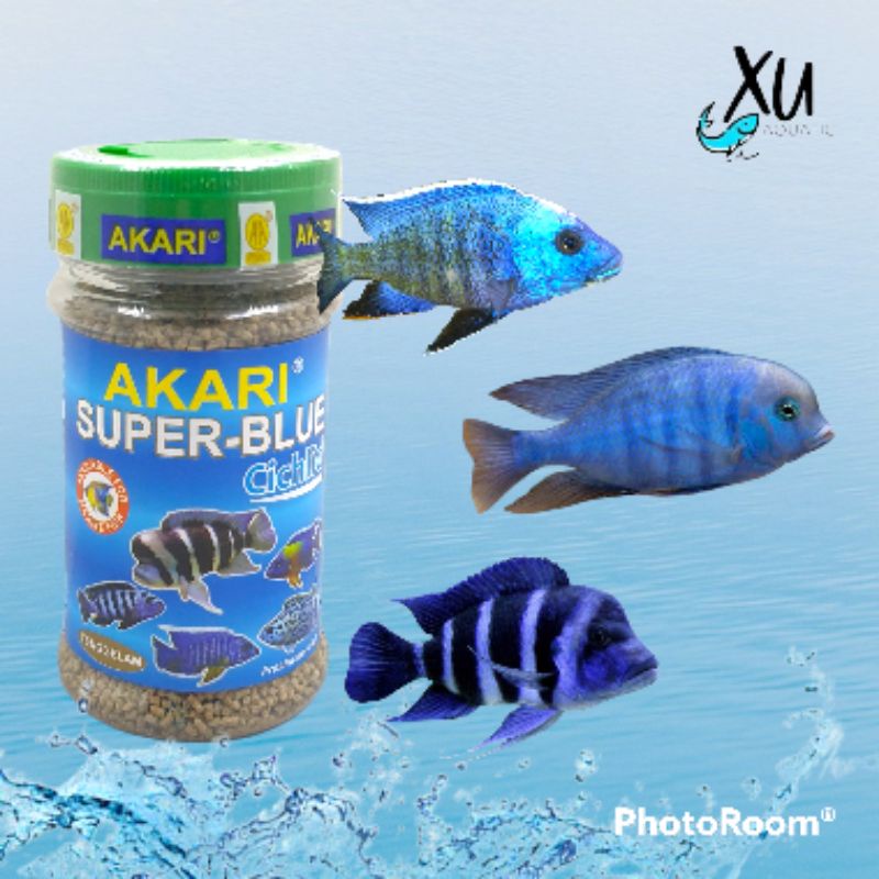 AKARI SUPER BLUE CICHLID PAKAN SEGALA JENIS IKAN HIAS 140 GR SINKING