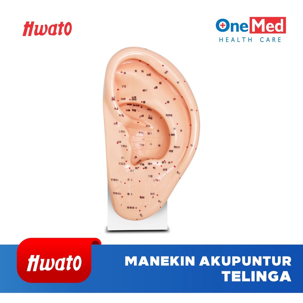 Manekin Patung Akupuntur Acupuncture Telinga Onemed Hwato OJB