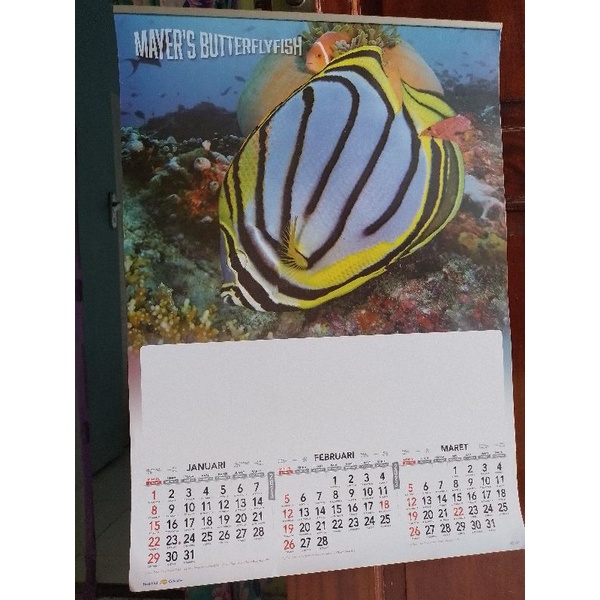 

kalender dinding 2023 motif 2 ikan hias
