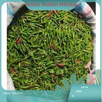 

Cabai rawit 250gr Medan | PASAR MURAH MEDAN