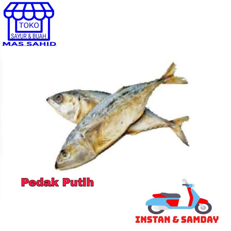 

Ikan Asin Pedak Putih 1 Ekor