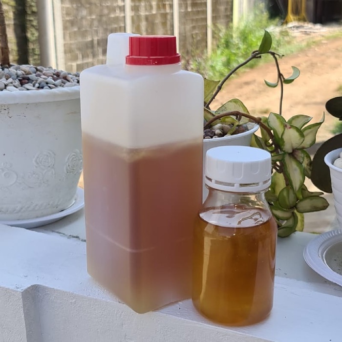 

Madu Kelengkeng Curah isi Bersi 1kg