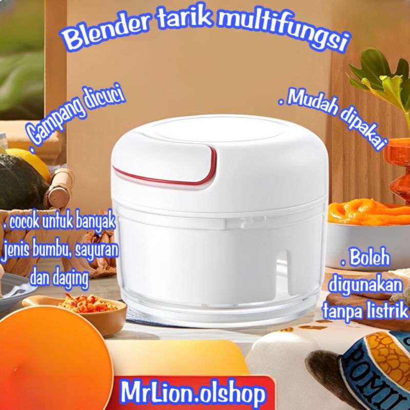 Mini Food Chopper Blender Bumbu Manual / Speedy Chopper Mini Blender⭐ Mrlion ⭐