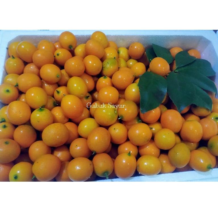 

ケ Jeruk Kimkit Import Korea Pack た