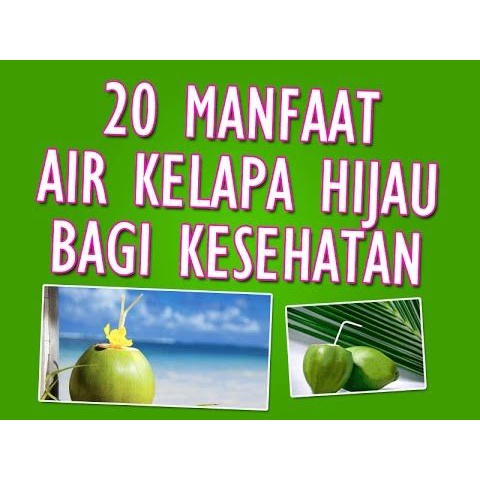 

BUAH KELAPA MUDA DUGAN DEGAN SEGAR MANIS BESAR HARGA PER PCS 1 BIJI
