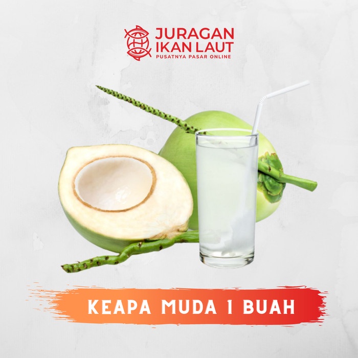 

Kelapa Muda Segar - 1 Buah