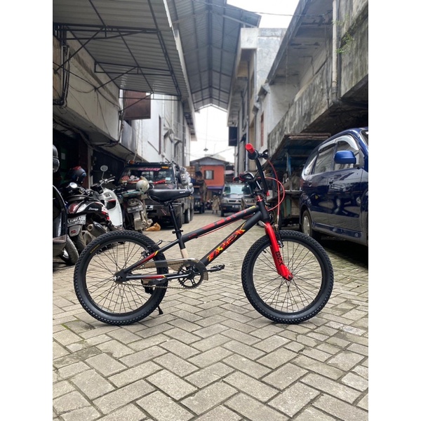 BMX 20” TREX MATRIX PRO Ban 2.35