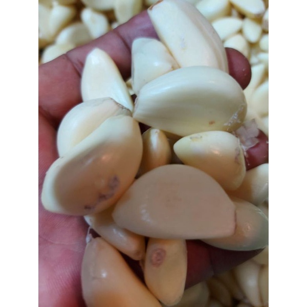 

BAWANG PUTIH KUPAS 1 KG