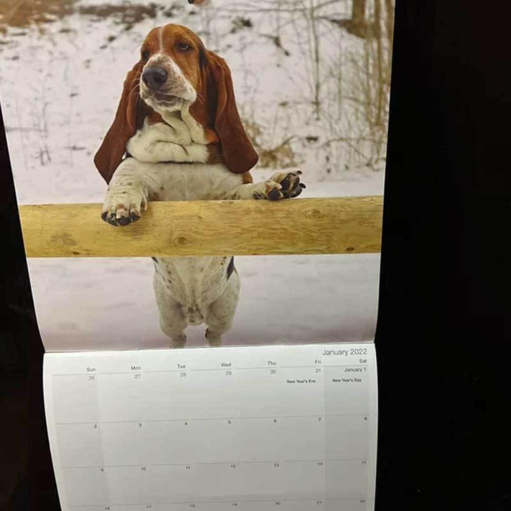 Top Dean The Basset Creatives Adorable Pet Dog Time Planning Kalender Rumah Kantor