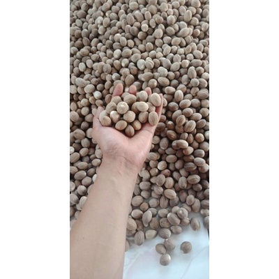 

Dried Nutmeg Grade ABCD (Pala Kering ABCD)