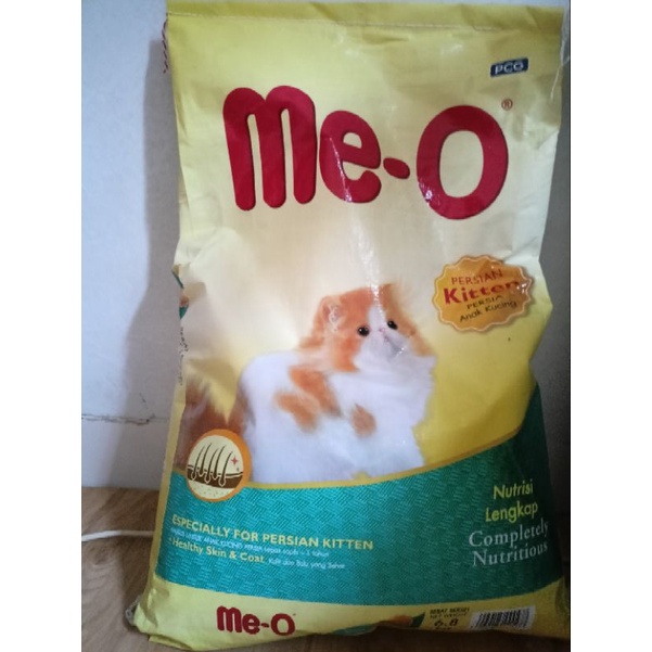 MeoKittenPersian