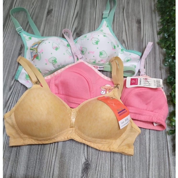 bh bra paket 3pcs /bh tanpa kawat /bh remaja abg /size 32 34 36 38 /real picture