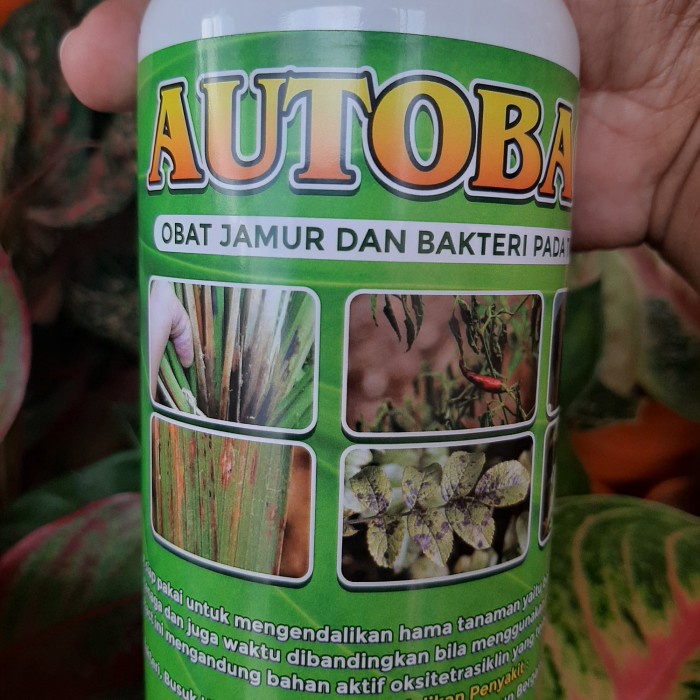 Autobact 500ml Pembasmi Bakteri,Jamur Dan Kutu Putih Pada Tanaman