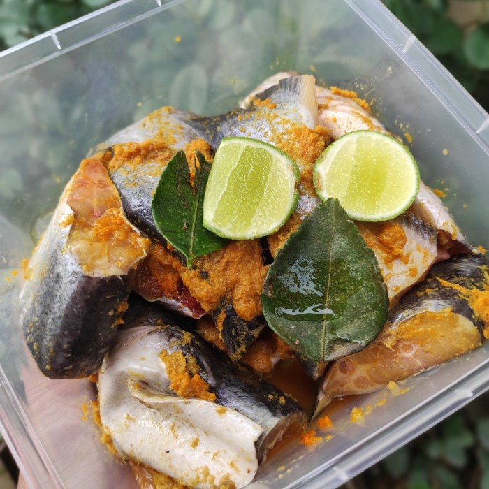 

Ikan Patin Bumbu Kuning Siap Masak - 500 Gram