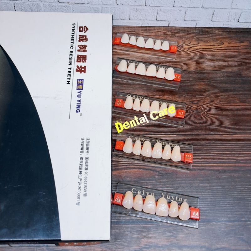 Gigi Palsu CAIYU Ecer Depan Atas/Gigi Tiruan Depan Atas