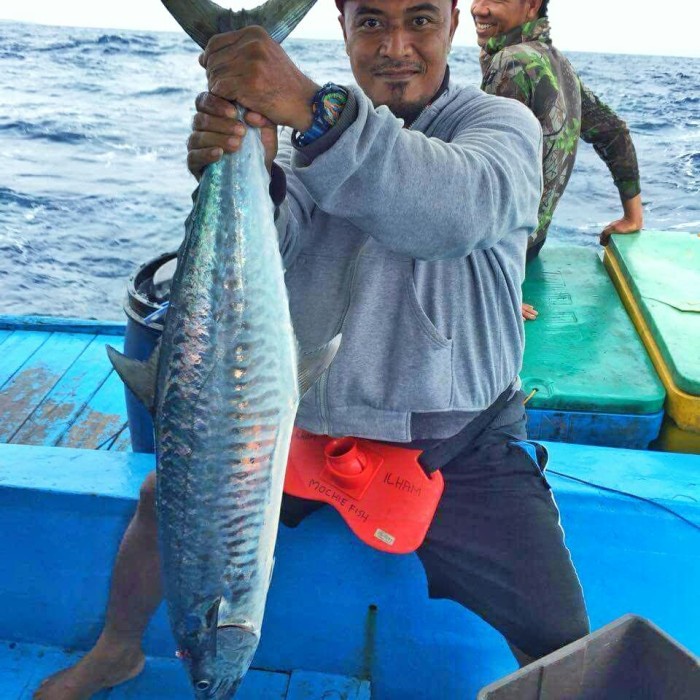 LURE JIG HEAD METAL JIG BULU AYAM JAGO TENGGIRI KILLER 50GRAM / LURE JIG HEAD METAL JIG BEST QUALITY