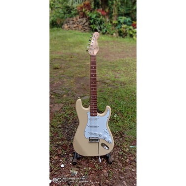 Fender stratocaster custom