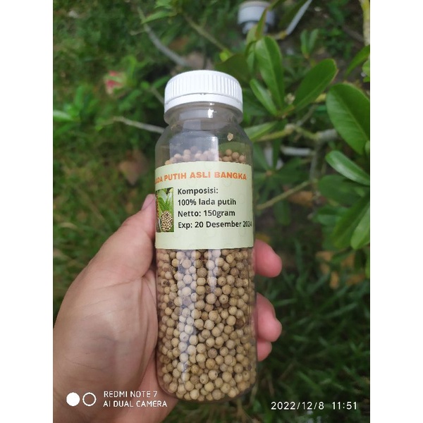 

Lada Putih Butir Asli Bangka Netto 120gr Murah Grosir oleh oleh makanan khas bangka toko snack jojo