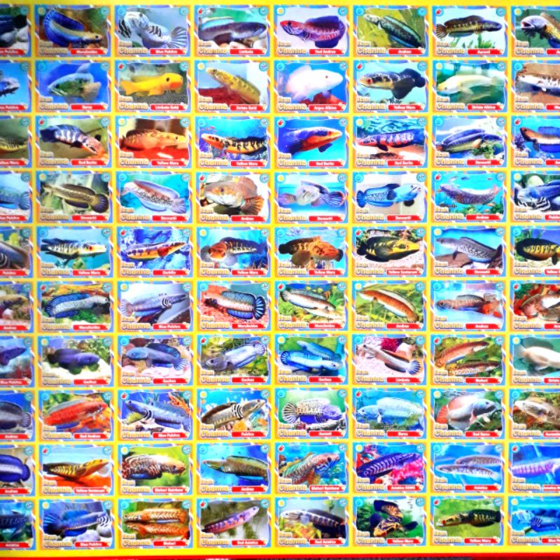 10 LEMBAR gambar kartu gepok / Kartu gepok murah