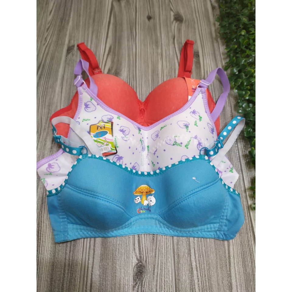 bh bra paket 3pcs /bh tanpa kawat /bh remaja abg /size 32 34 36 38 /real picture