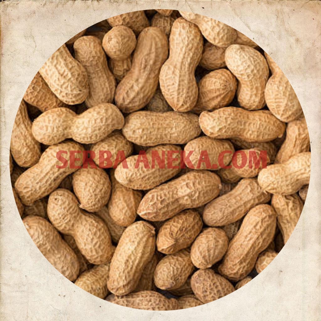 

( 250 gram ) ~ KACANG KULIT