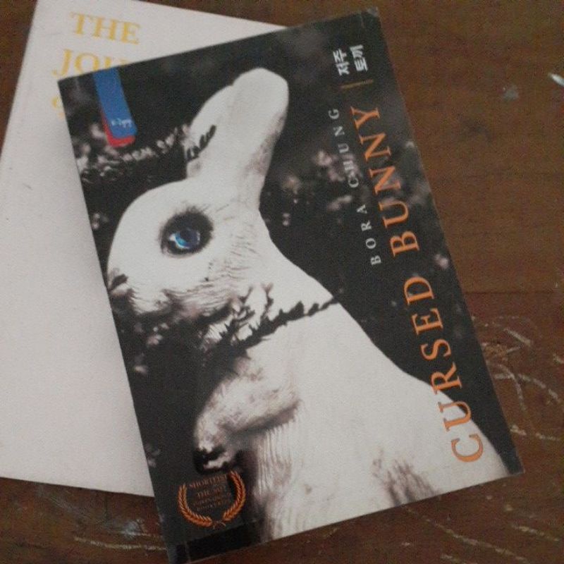 preloved cursed bunny bora chung